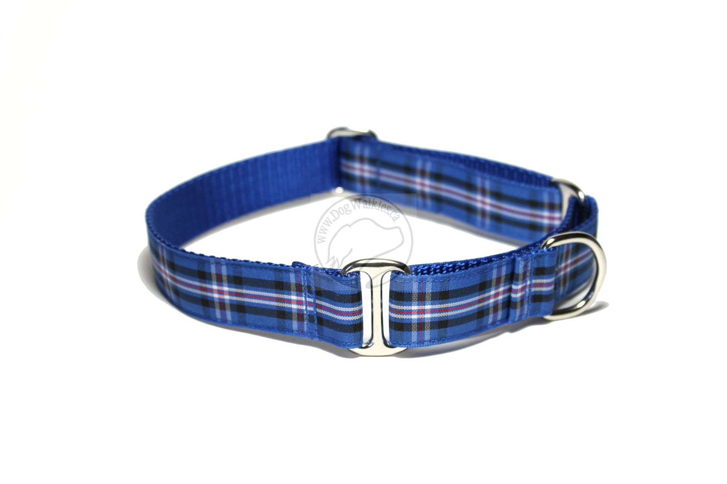 Rangers FC tartan - dog collar