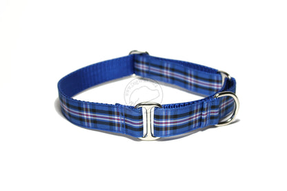 Rangers FC tartan - dog collar