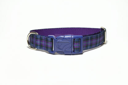 Pride of Scotland Modern tartan - dog collar