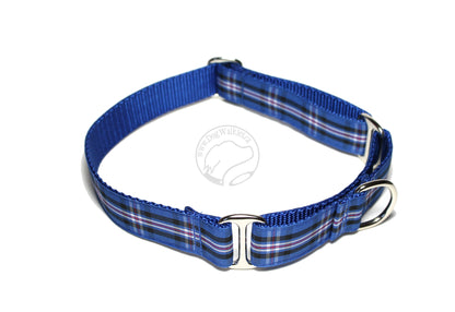 Rangers FC tartan - dog collar