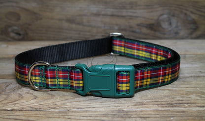 Buchanan clan tartan - dog collar