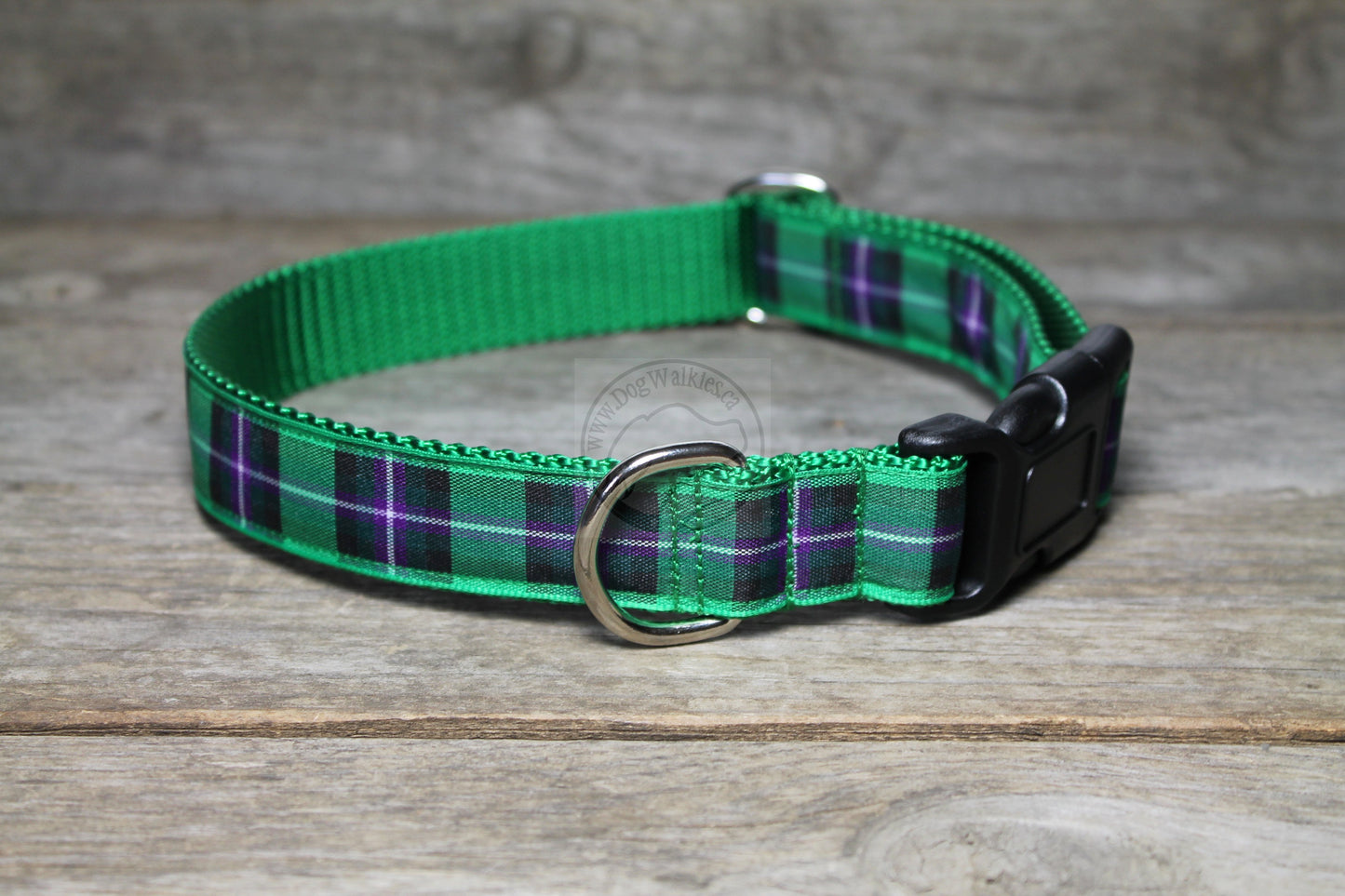 Hibernian FC Hibs tartan - dog collar