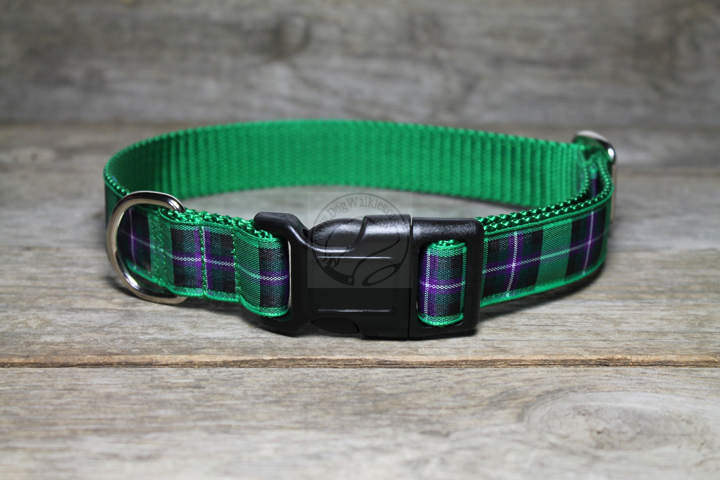 Hibernian FC Hibs tartan - dog collar