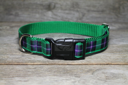 Hibernian FC Hibs tartan - dog collar