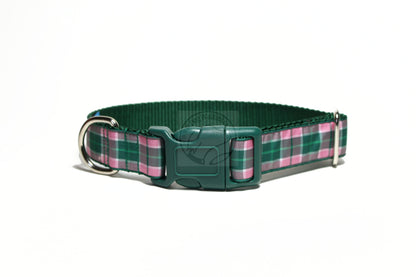 MacDonald of Kingsburgh Clan tartan - dog collar