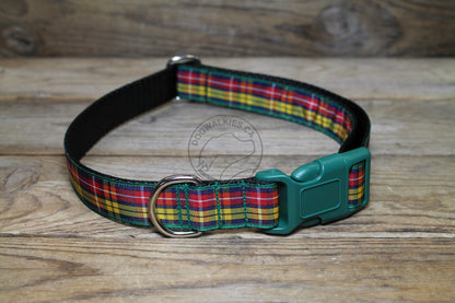 Buchanan clan tartan - dog collar