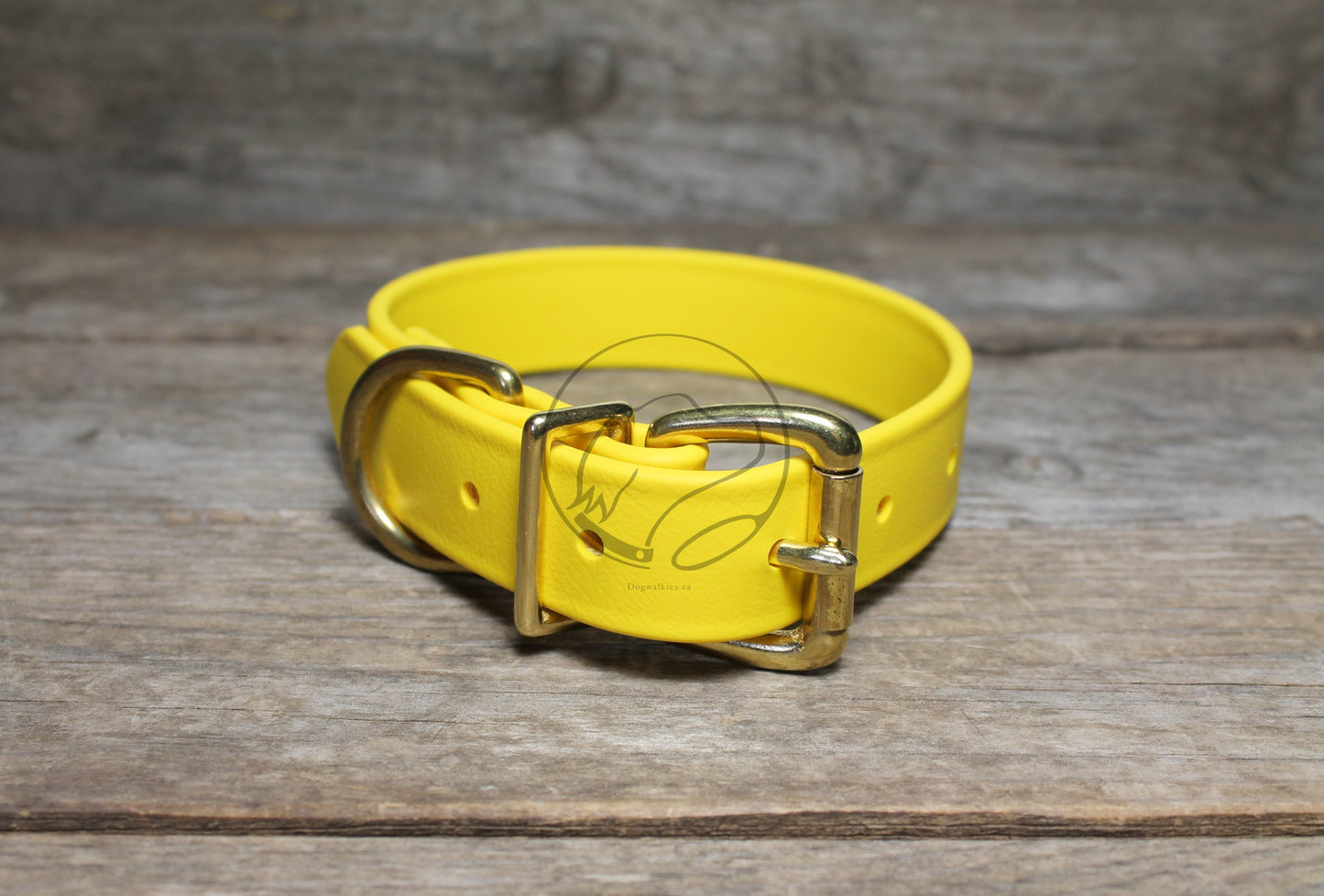 Sunflower Yellow Biothane Dog Collar - 1 inch (25mm) wide