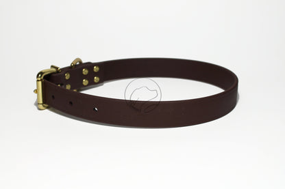 Dark Chocolate Brown Biothane Dog Collar - 1 inch (25mm) wide