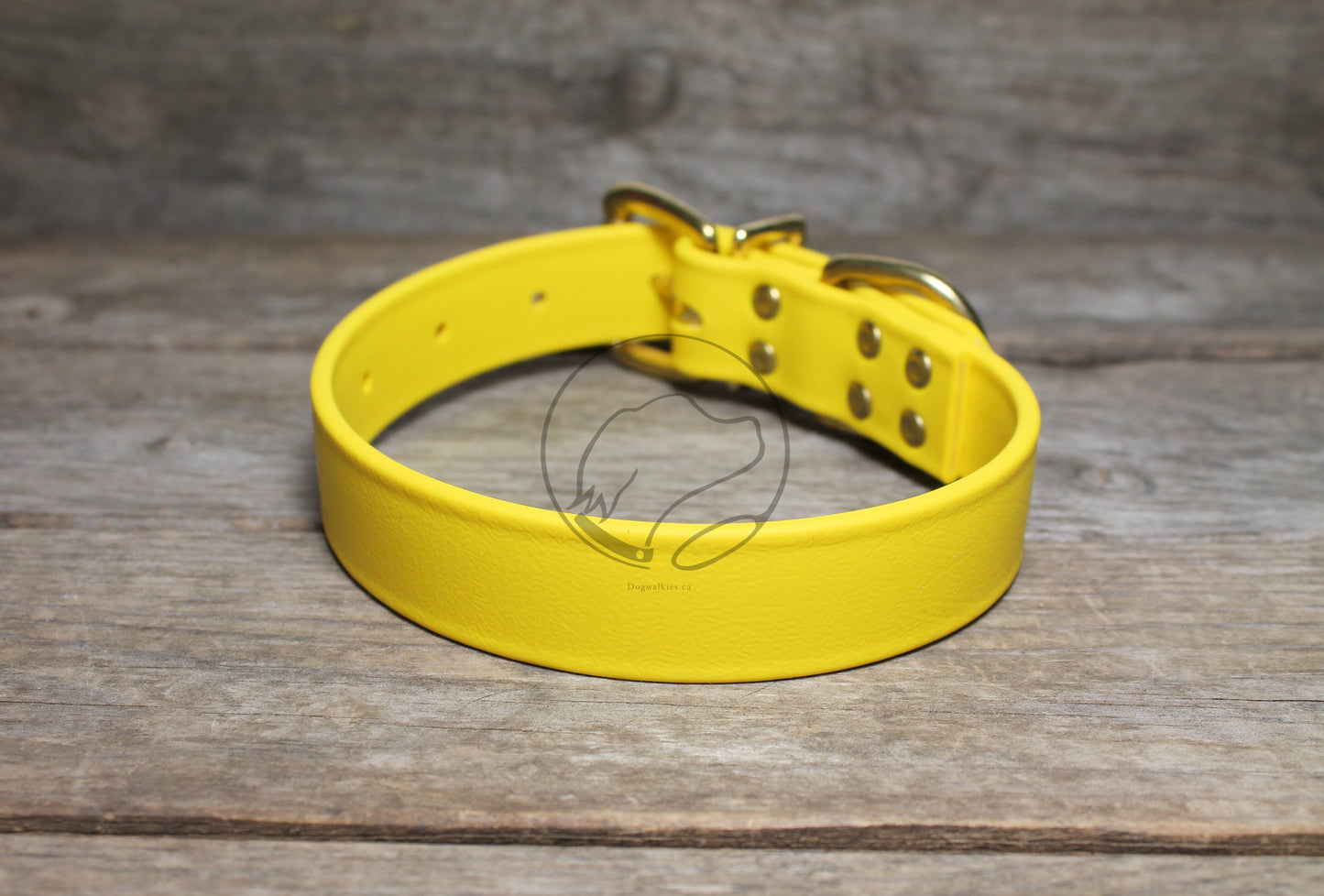 Sunflower Yellow Biothane Dog Collar - 1 inch (25mm) wide