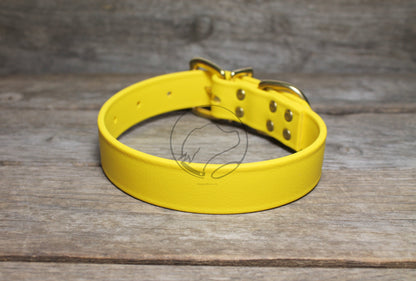 Sunflower Yellow Biothane Dog Collar - 1 inch (25mm) wide