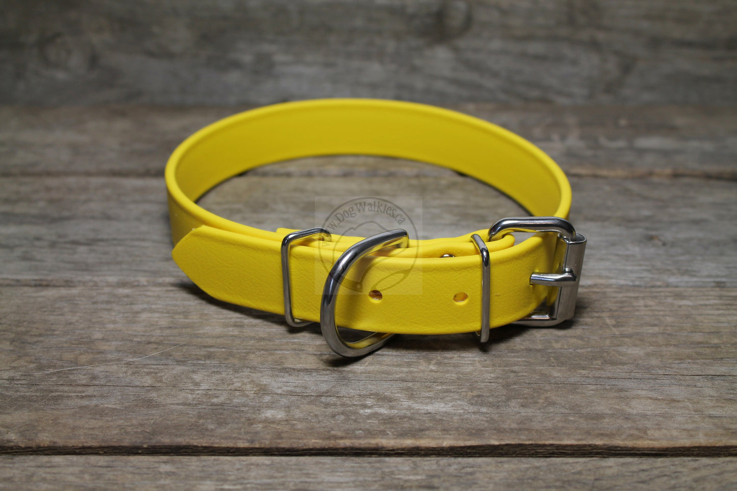 Sunflower Yellow Biothane Dog Collar - 1 inch (25mm) wide