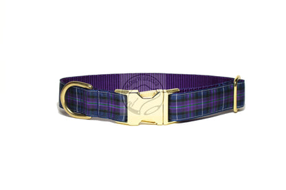 Pride of Scotland Modern tartan - dog collar