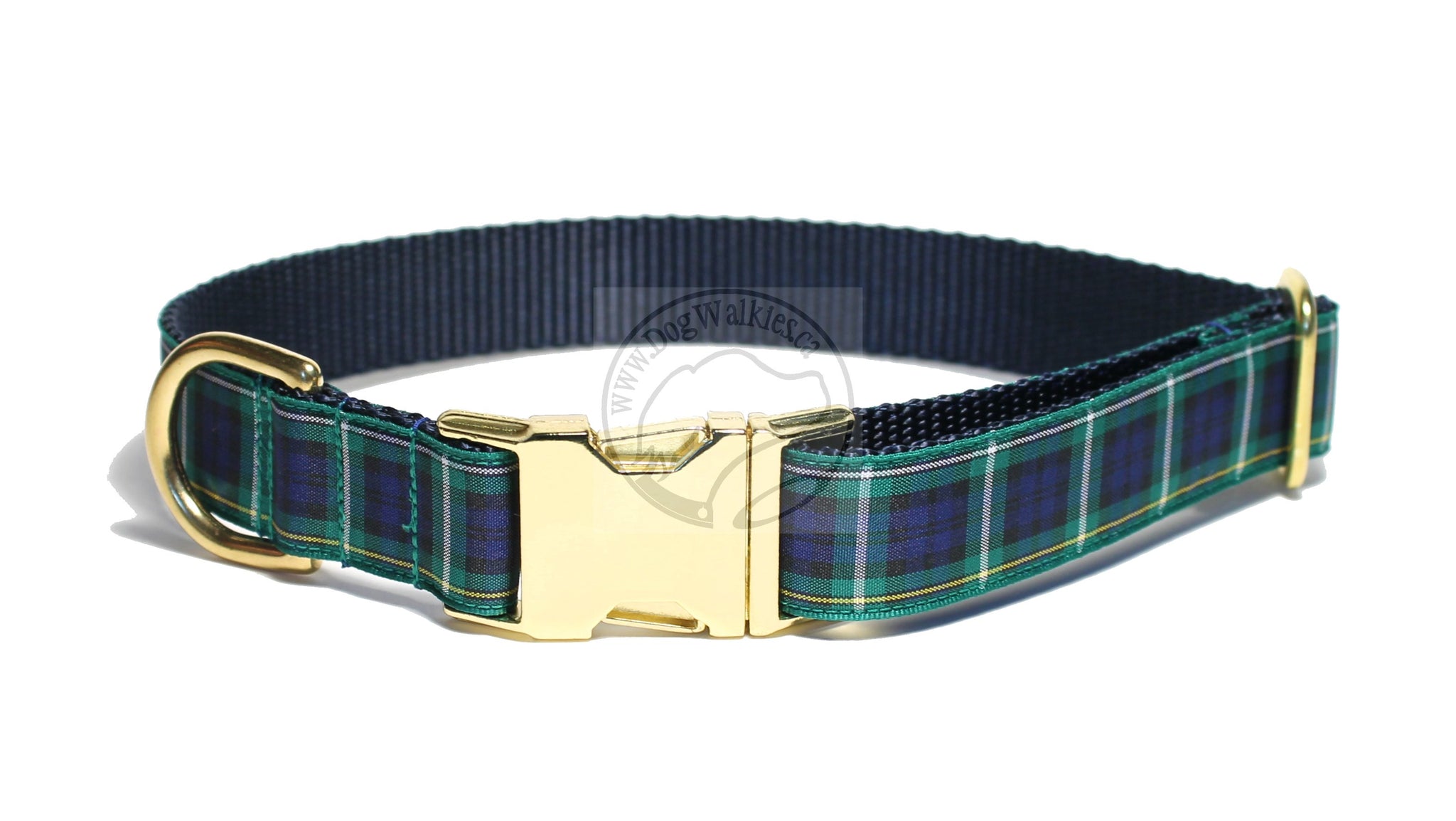 Campbell clan tartan - dog collar