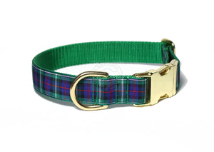 MacKenzie Clan tartan - dog collar
