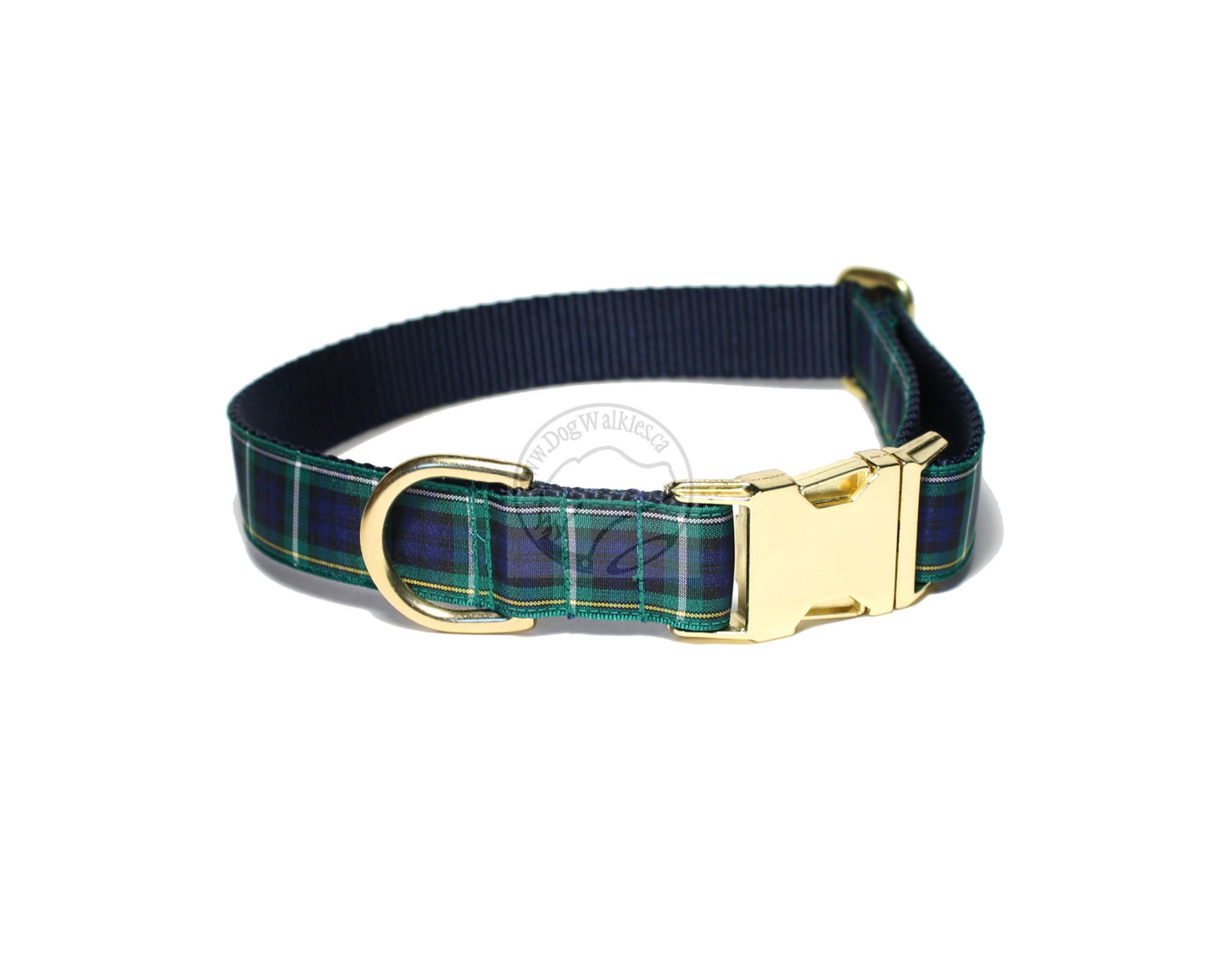 Campbell clan tartan - dog collar