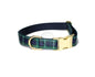 Campbell clan tartan - dog collar