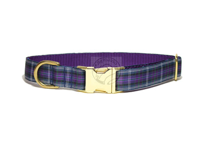 Pride of Bannockburn tartan - dog collar