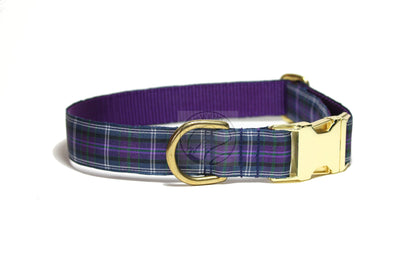 Pride of Bannockburn tartan - dog collar