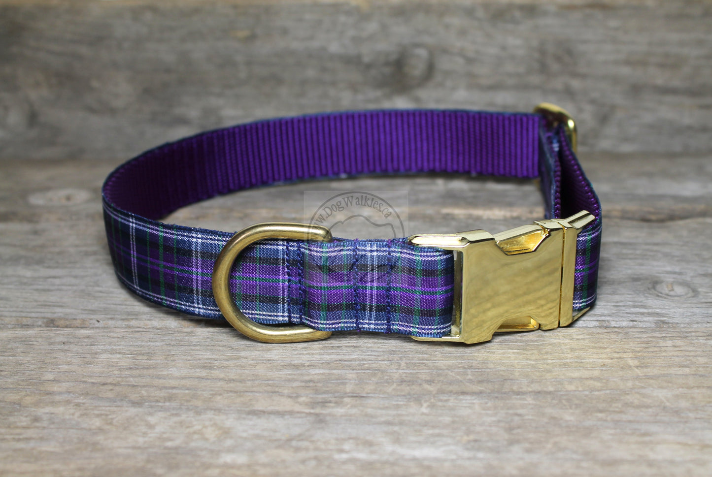 Pride of Bannockburn tartan - dog collar