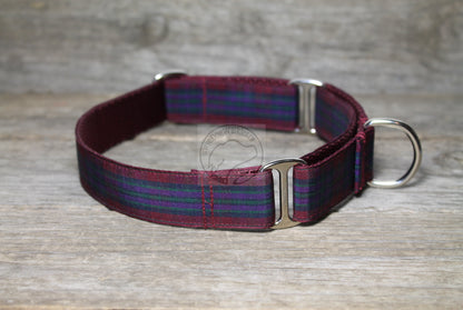 Pride of Scotland Autumn tartan - dog collar