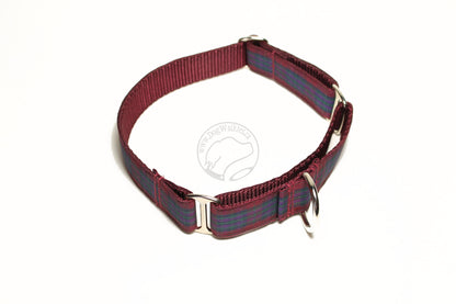 Pride of Scotland Autumn tartan - dog collar