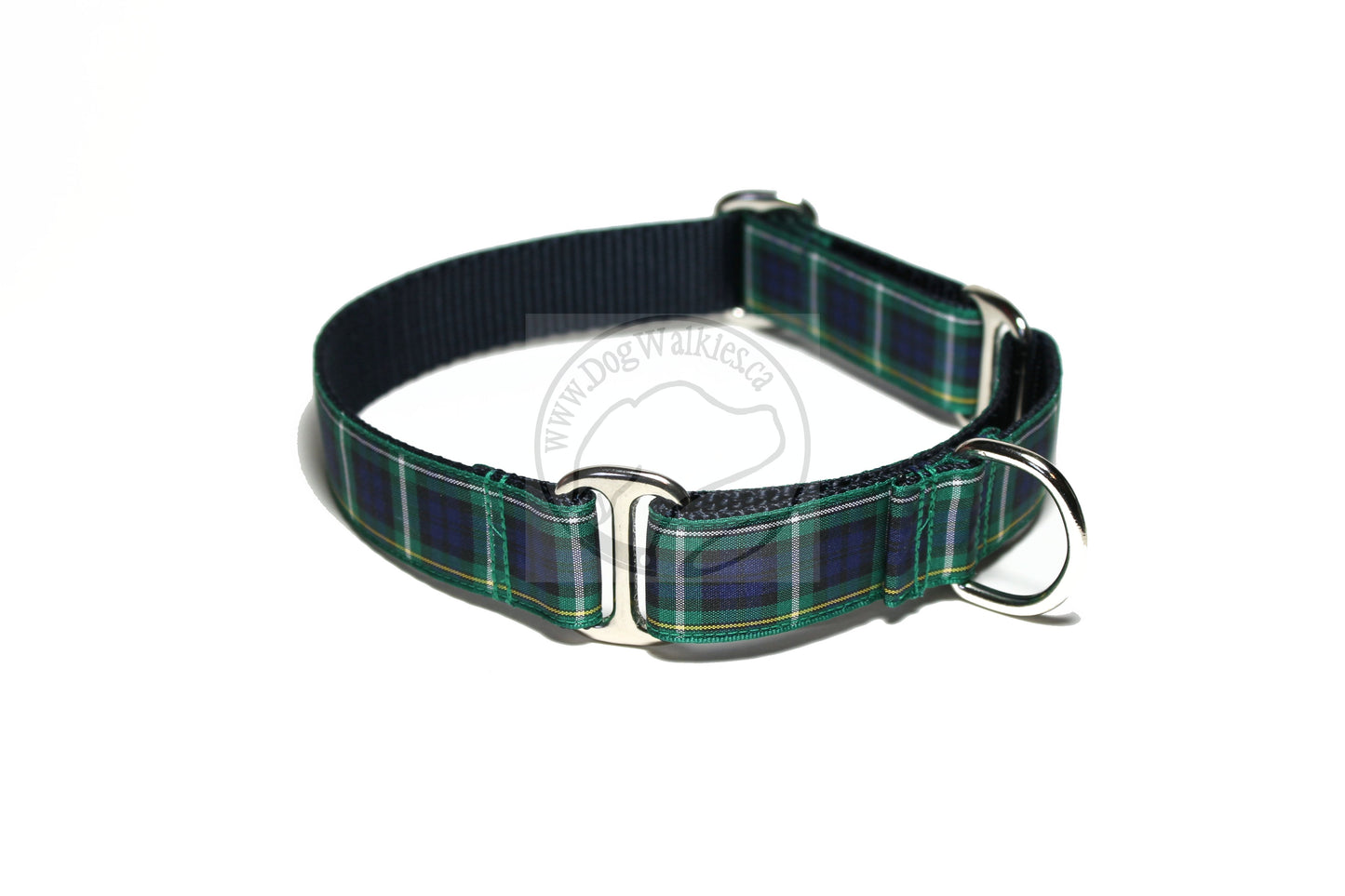 Campbell clan tartan - dog collar