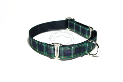 Campbell clan tartan - dog collar