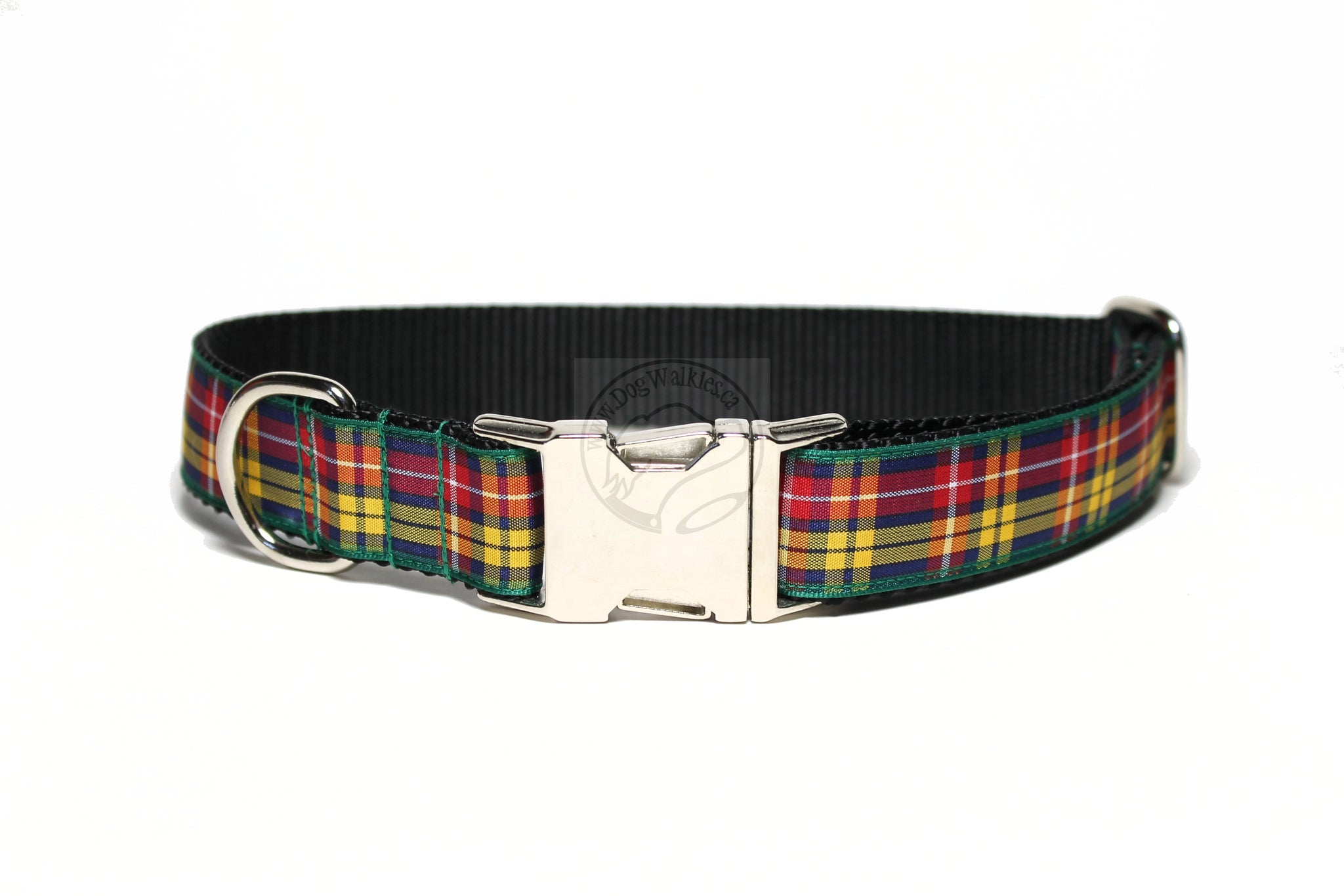 Buchanan clan tartan - dog collar