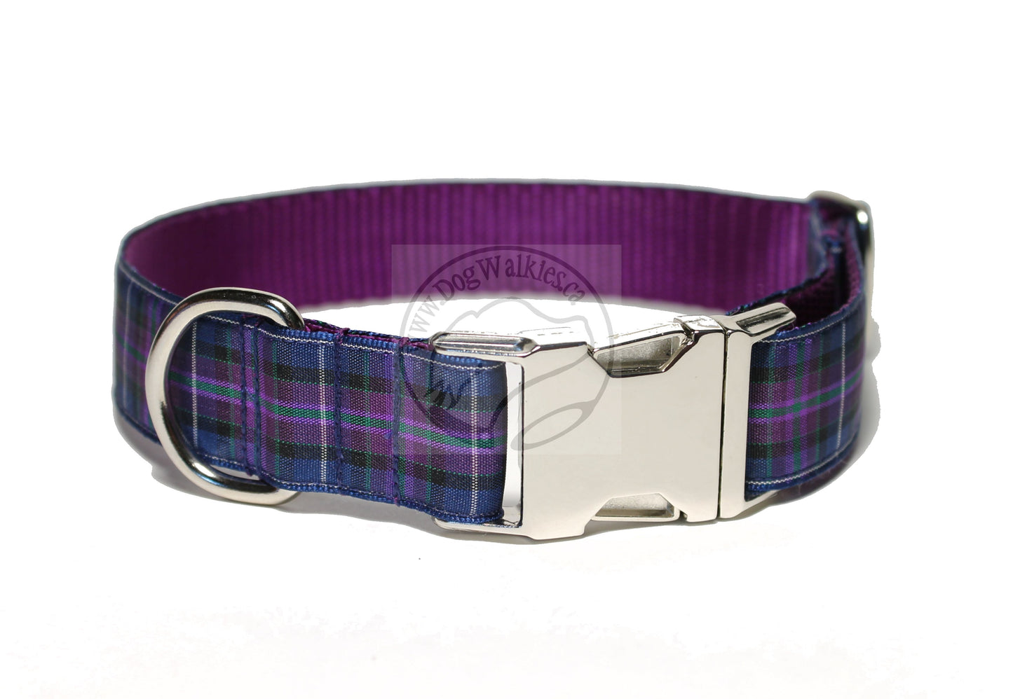 Pride of Scotland Modern tartan - dog collar