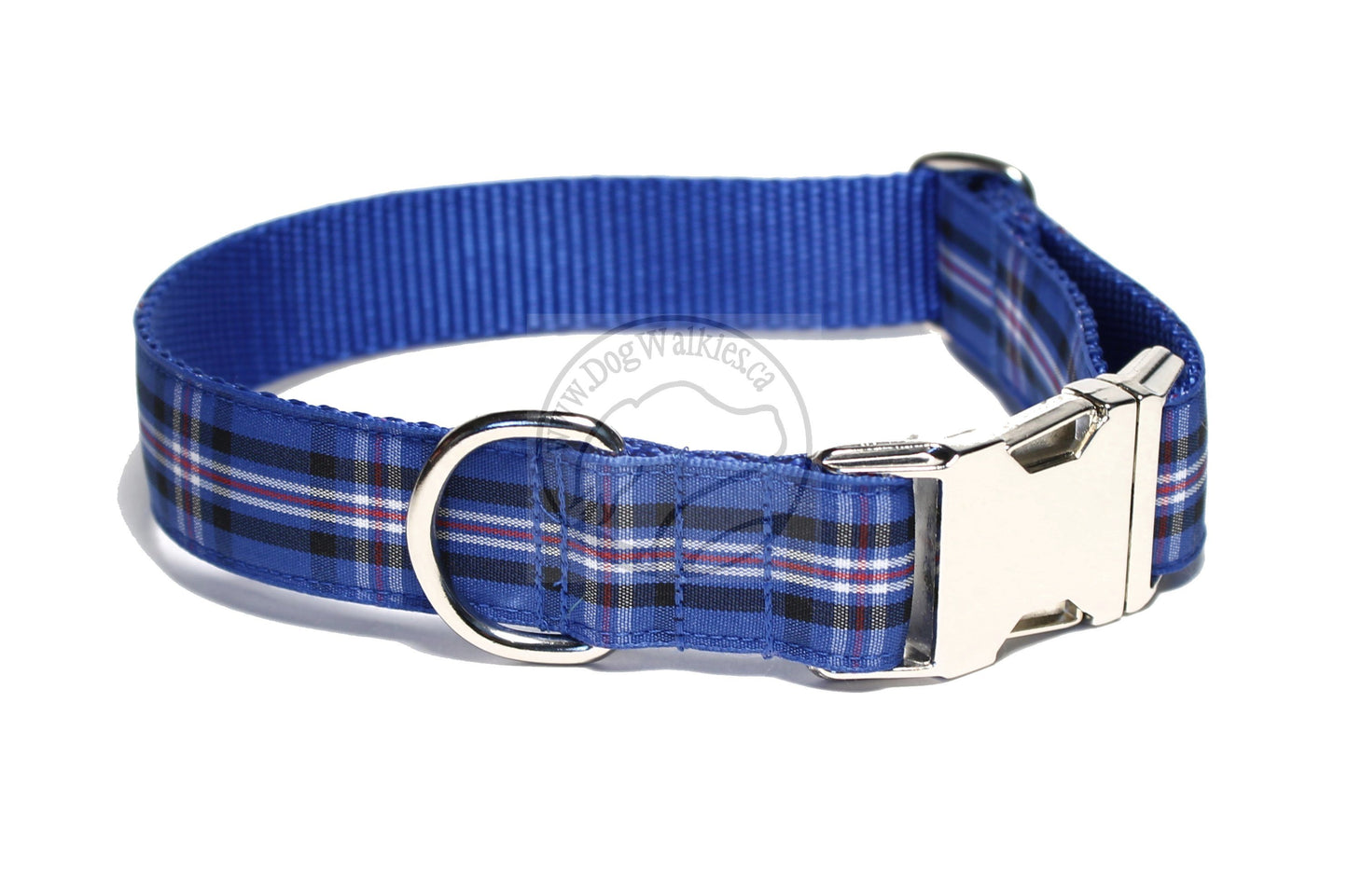 Rangers FC tartan - dog collar