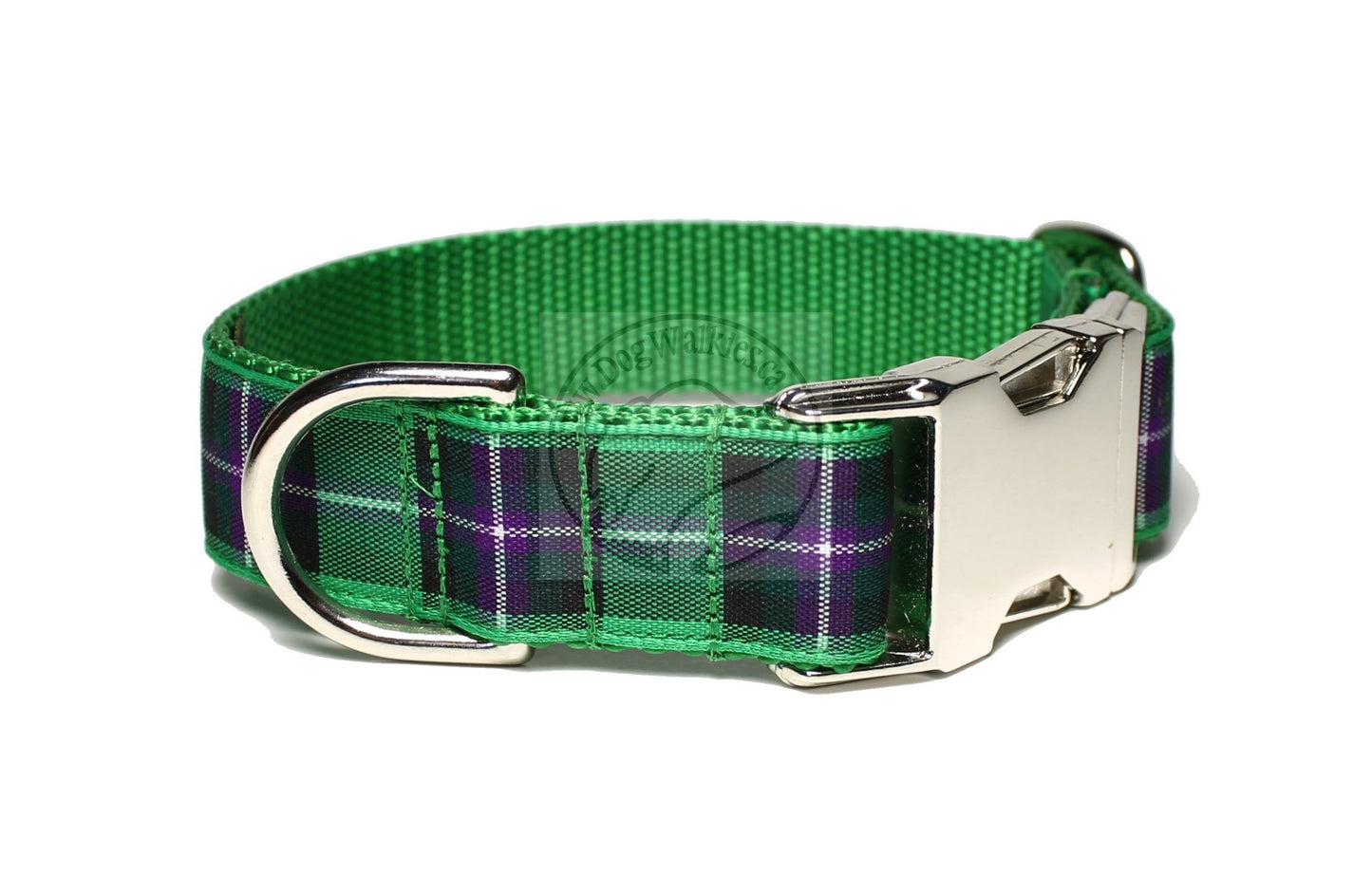 Hibernian FC Hibs tartan - dog collar