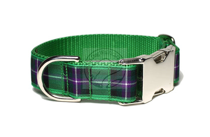 Hibernian FC Hibs tartan - dog collar