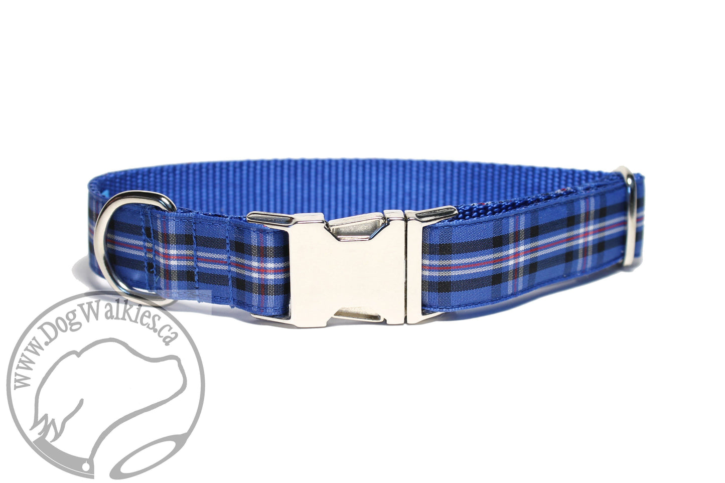 Rangers FC tartan - dog collar
