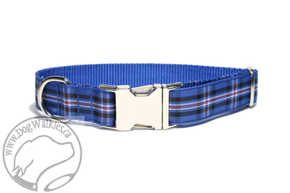 Rangers FC tartan - dog collar