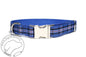 Rangers FC tartan - dog collar