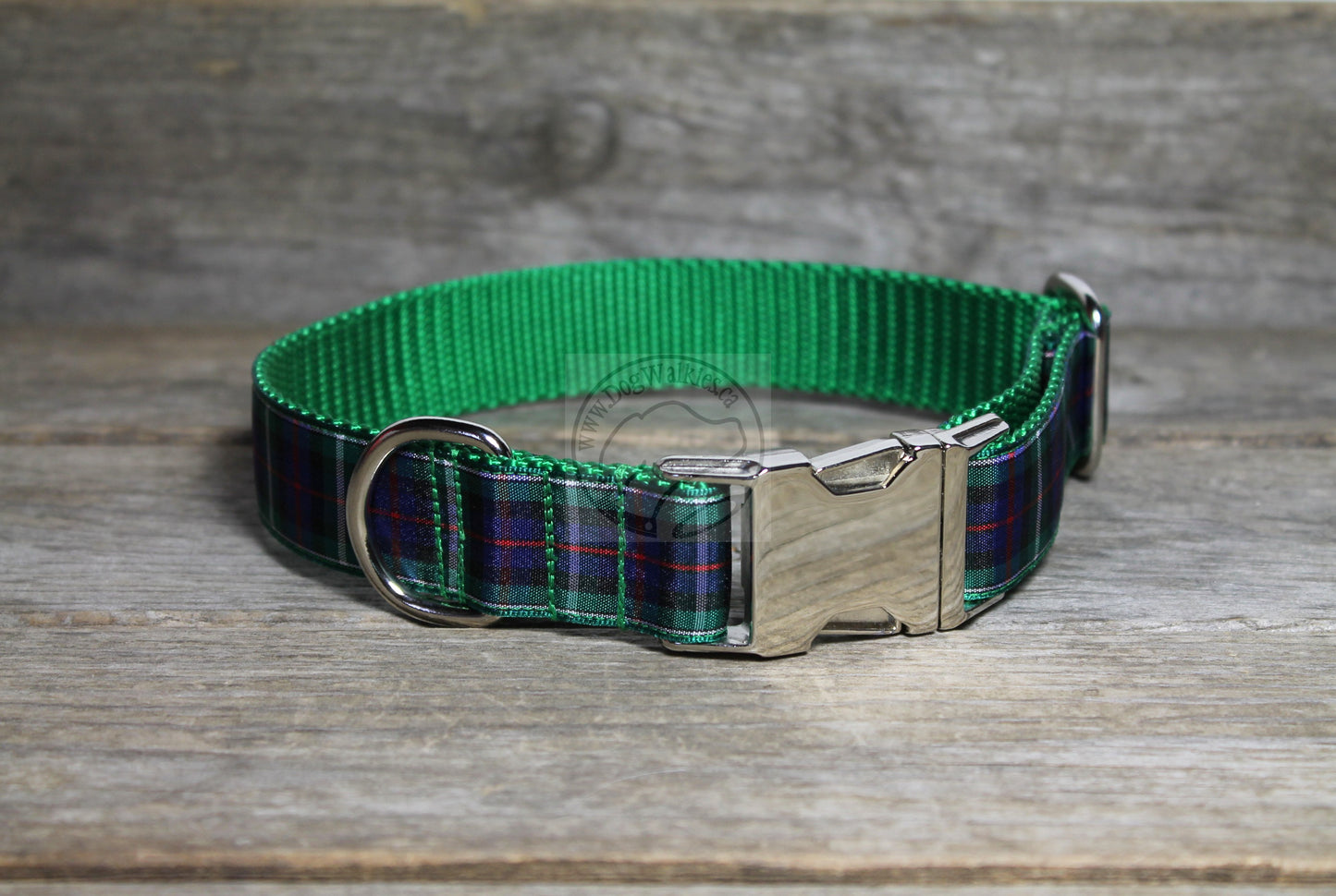 MacKenzie Clan tartan - dog collar