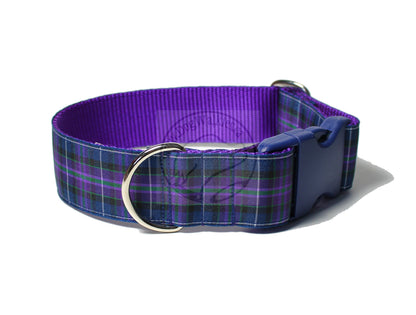 Pride of Scotland Modern tartan - dog collar