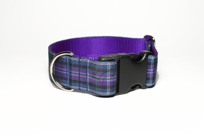 Pride of Bannockburn tartan - dog collar