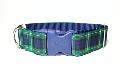 Campbell clan tartan - dog collar