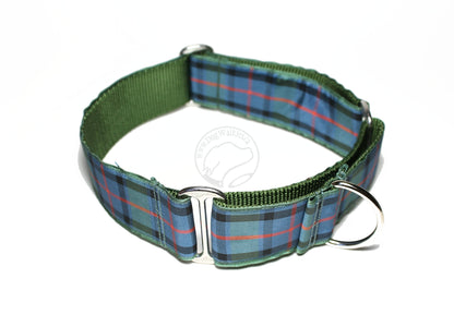 Flower of Scotland tartan - dog collar