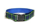 Gordon clan tartan - dog collar