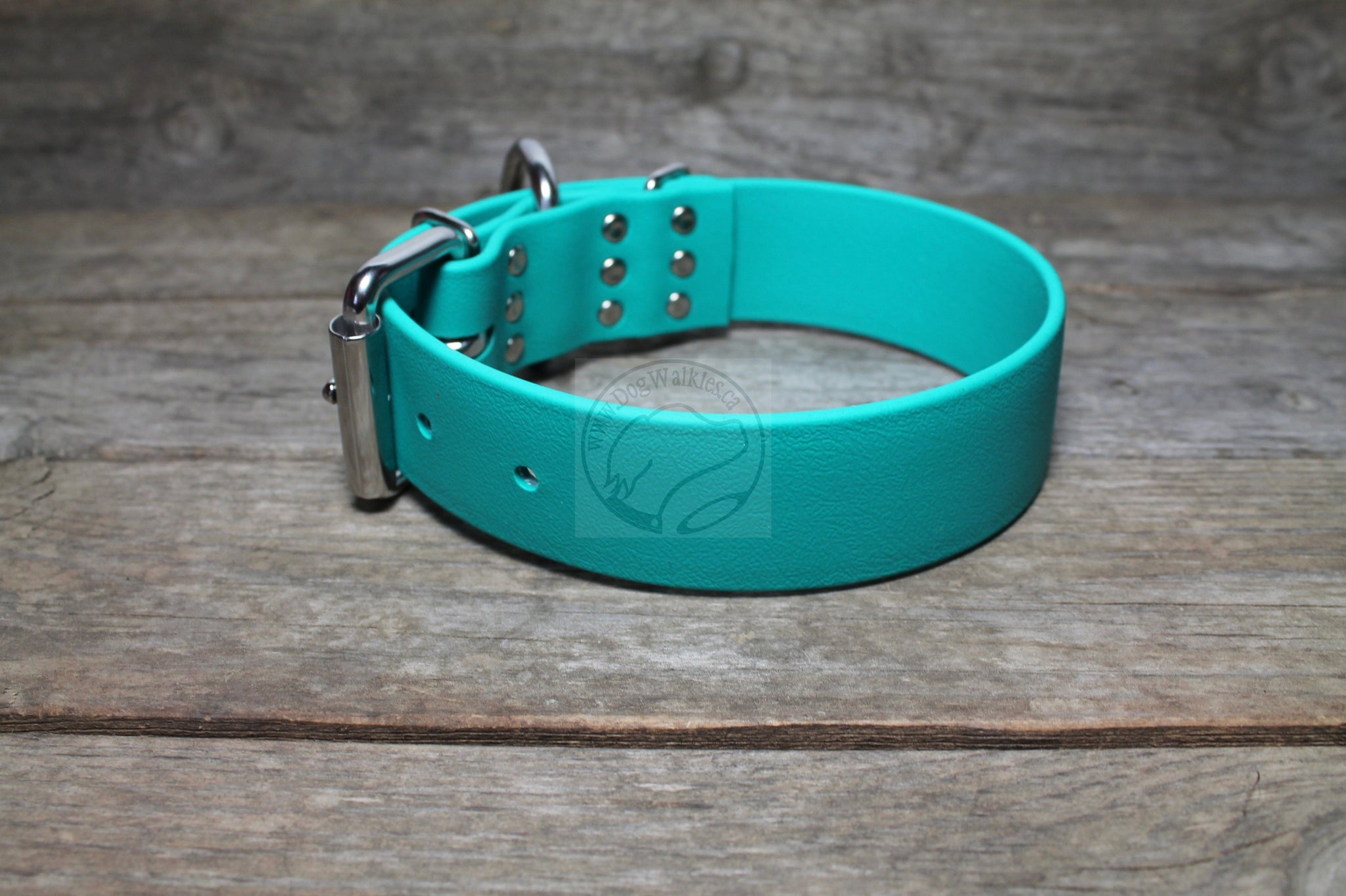 Teal Biothane Dog Collar - Extra Wide - 1.5 inch (38mm) wide