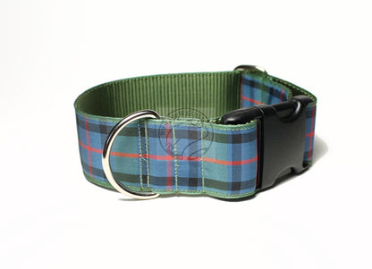 Flower of Scotland tartan - dog collar