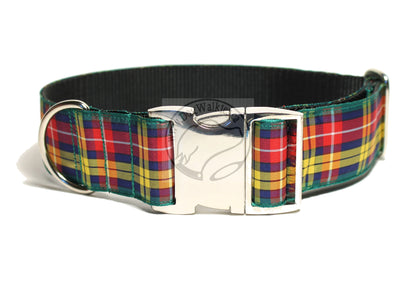 Buchanan clan tartan - dog collar