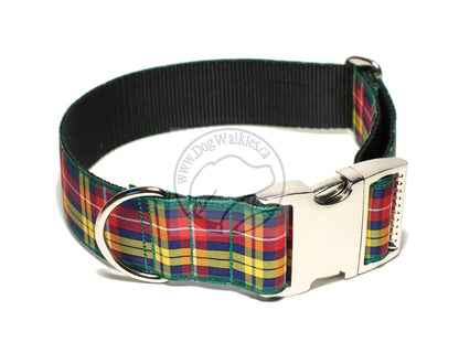 Buchanan clan tartan - dog collar