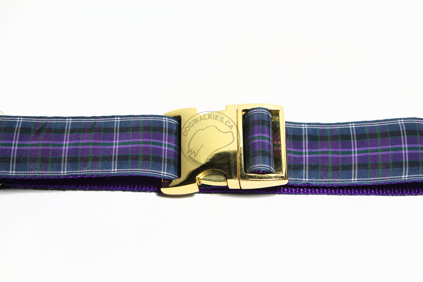 Pride of Bannockburn tartan - dog collar