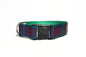 Lindsay Clan tartan - dog collar