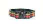 Buchanan clan tartan - dog collar
