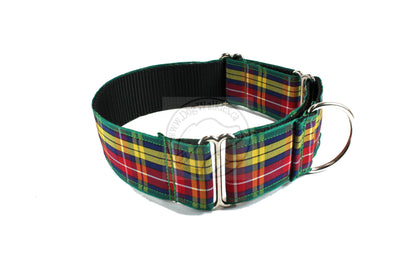 Buchanan clan tartan - dog collar