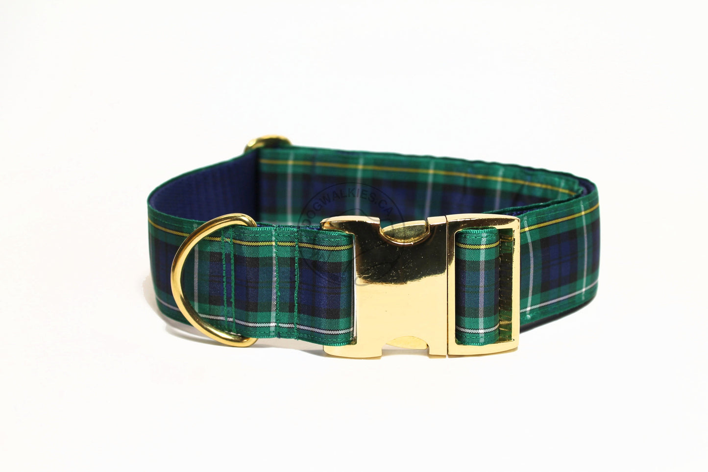 Campbell clan tartan - dog collar